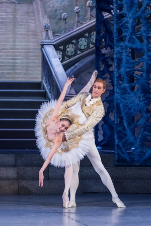 diotoro2 foto nagy attila