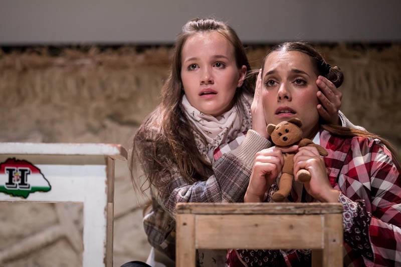 olasz meszaros palmai