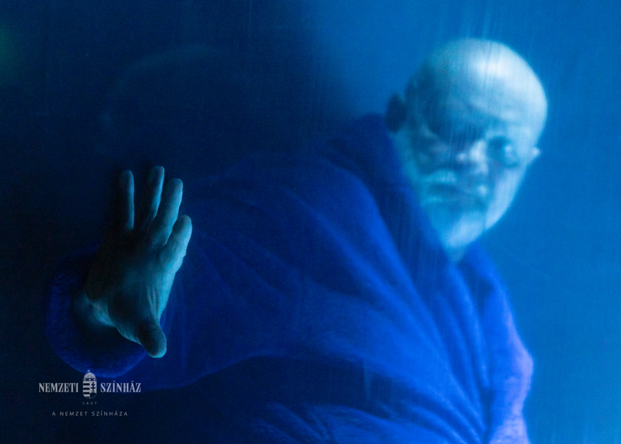 net Rex eorifoto 4347