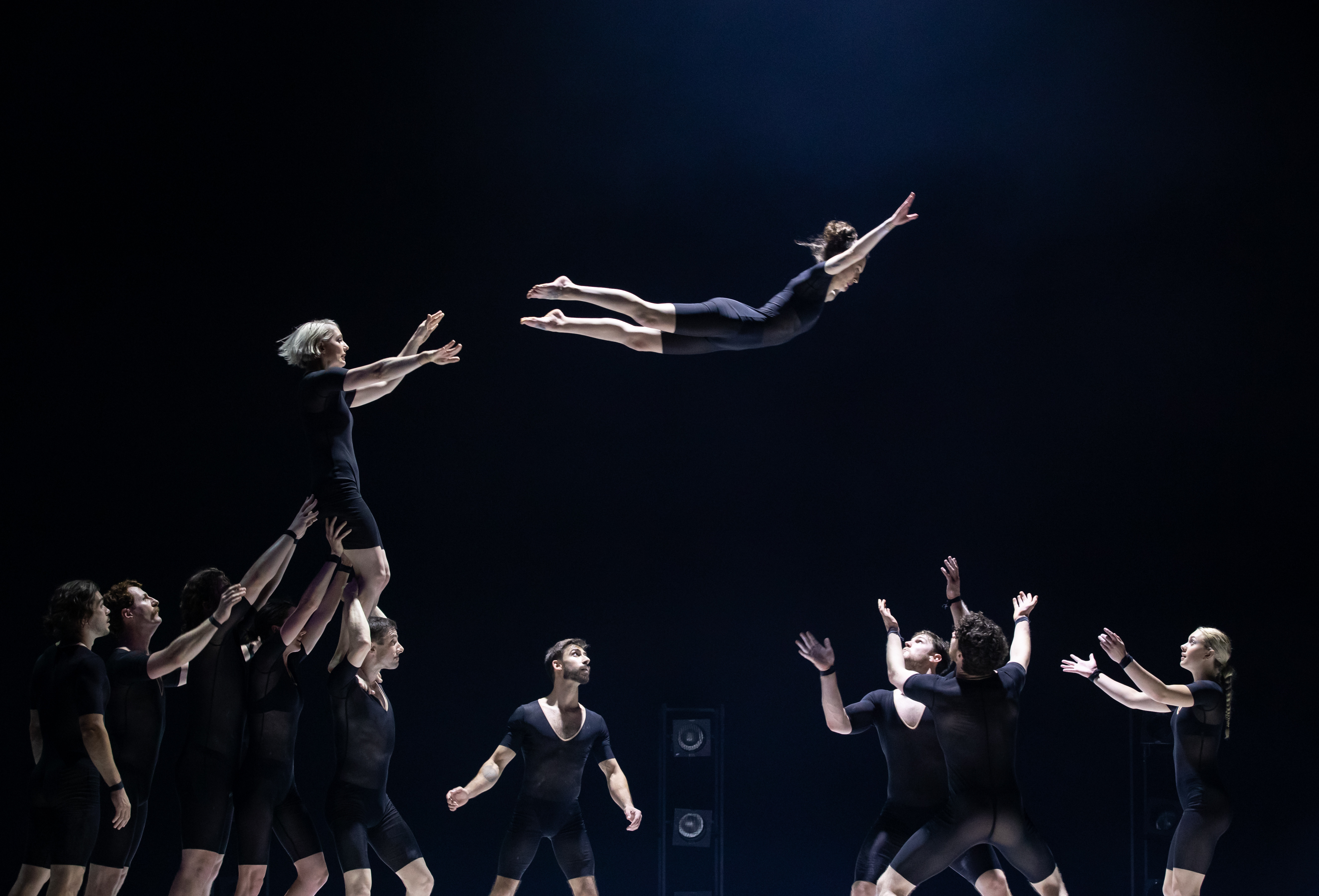 davidkelly