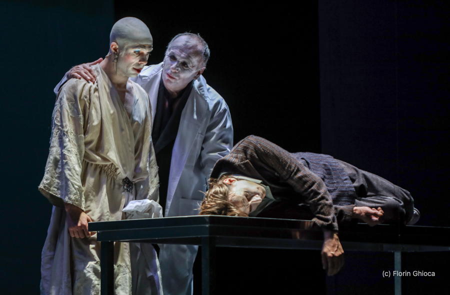 gertrud by florin ghioca 02